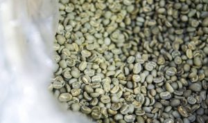 Fumigasi Kopi