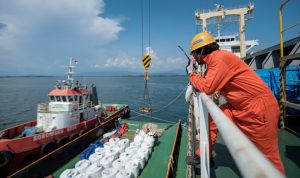 WhatsApp Image 2022-07-19 at 16.58.31