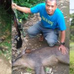 senapan-angin-uklik-termurah jual senapan angin